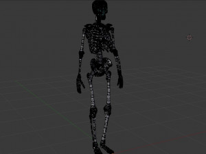 human skeleton 3D मॉडल