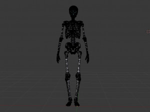 human skeleton 3D मॉडल