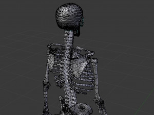 human skeleton 3D मॉडल