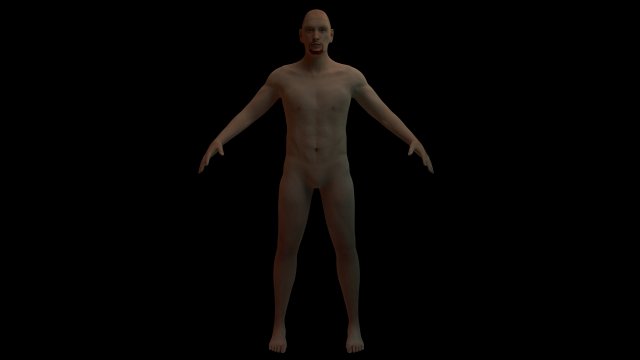 human body Modello 3D .c4d .max .obj .3ds .fbx .stl .blend 