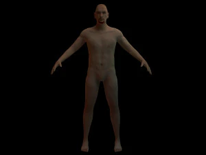 corps humain Modèle 3D