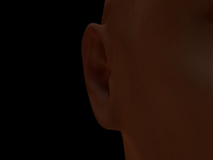 human body Modello 3D