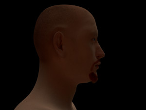 human body Modello 3D