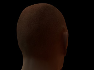 human body Modello 3D
