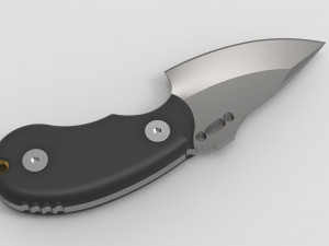 wolf pup 3D 模型