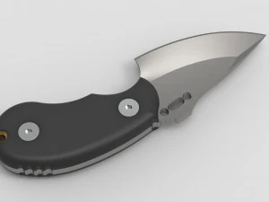 wolf pup 3D Model