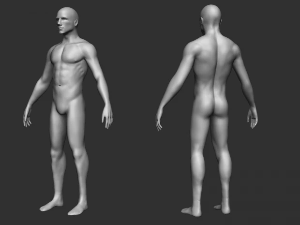 male base 3D Model .c4d .max .obj .3ds .fbx .stl .blend 