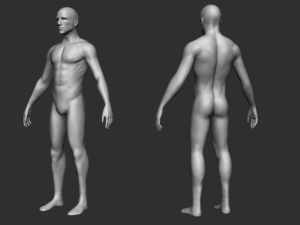 male base 3D 모델