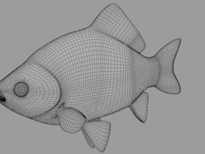 fish crucian Model 3D