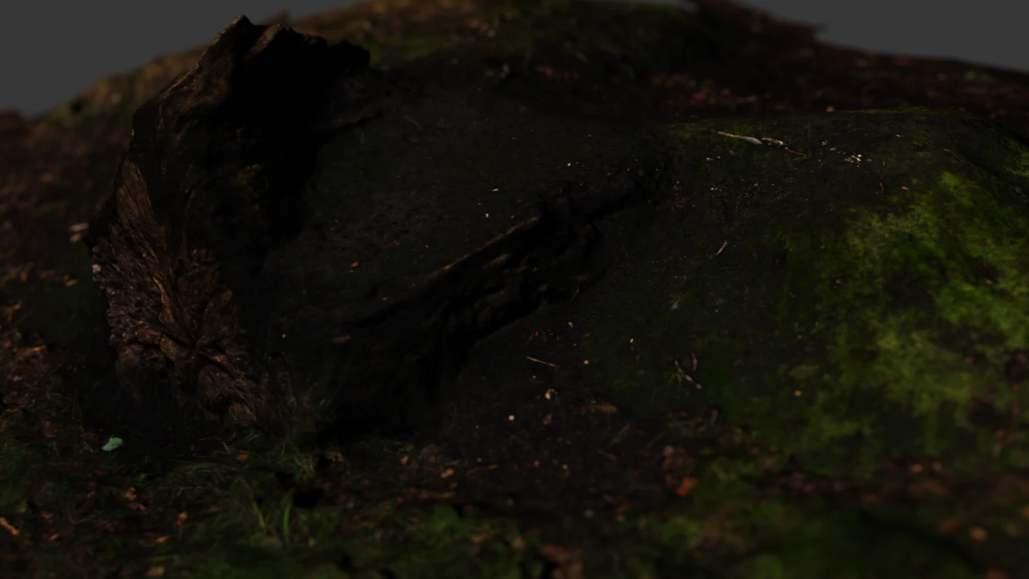 tree stump 3D Model .c4d .max .obj .3ds .fbx .stl .blend 