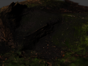 tree stump 3D Model