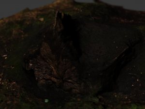 tree stump 3D Model