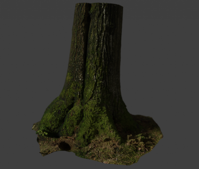 tree stam 3Dモデル .c4d .max .obj .3ds .fbx .stl .blend 