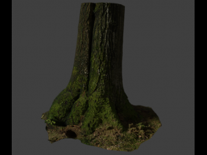 tree stam 3D मॉडल