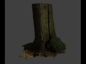 tree stam 3Dモデル