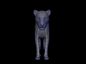 big cat 3D मॉडल