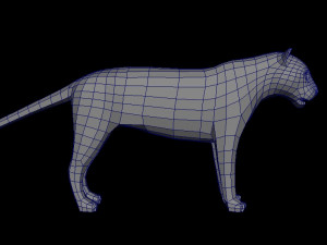 big cat 3D मॉडल