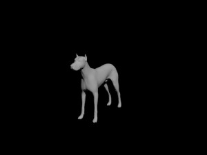 dog 3D मॉडल