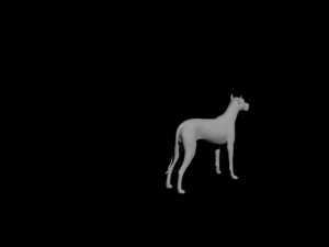 dog 3D-Modell