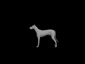 dog 3D Model