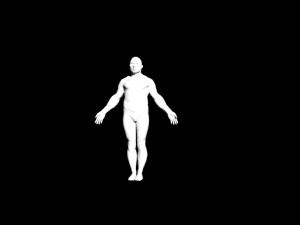 human 3D मॉडल