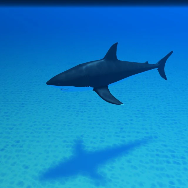 tubar&atilde;o Modelo 3D .c4d .max .obj .3ds .fbx .stl .blend 