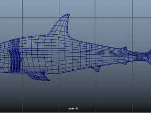 shark 3D मॉडल