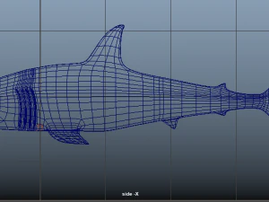 tubar&atilde;o Modelo 3D