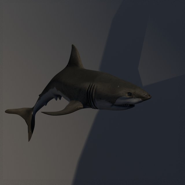 shark Model 3D .c4d .max .obj .3ds .fbx .stl .blend 