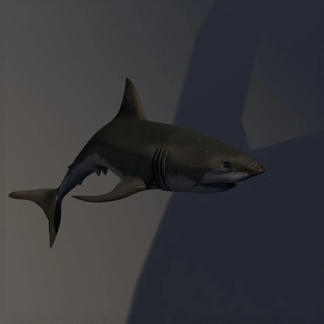 サメ 3Dモデル .c4d .max .obj .3ds .fbx .stl .blend 