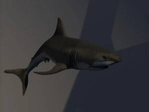 サメ 3Dモデル