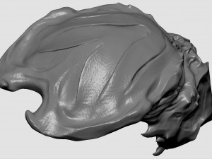 ceremonial hunter mask 3D Print Model