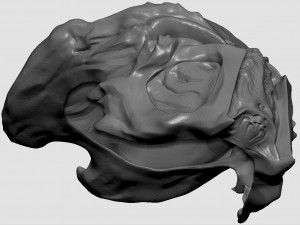 ceremonial hunter mask 3D Print Model