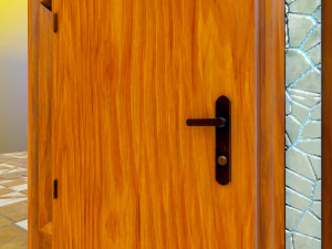 single door 3D Model