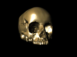 खोपड़ी खंडित 3D प्रिंट मॉडल