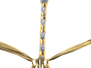 said dragonfly Modèle 3D