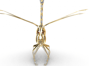 said dragonfly Modèle 3D