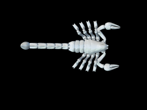 scorpion flex low poly Model 3D