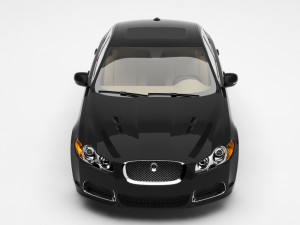 jaguar Model 3D