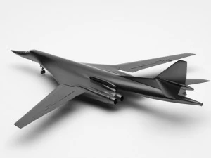 plant tu-160 3D Model