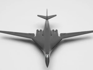 plant tu-160 3D Model