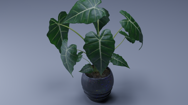 alocasia 3d pot plant Modelo 3D .c4d .max .obj .3ds .fbx .stl .blend 