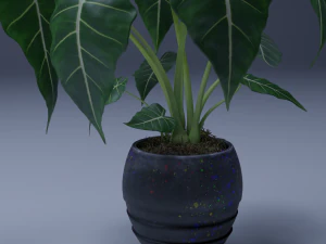 planta de vaso 3d de alocasia Modelo 3D