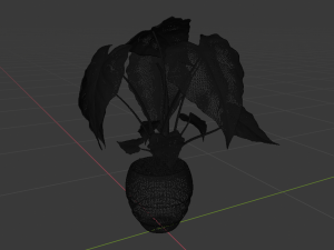alocasia 3d pot plant Modelo 3D