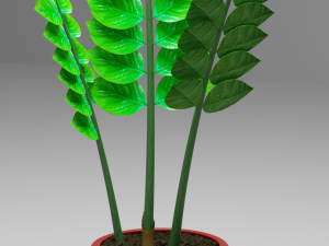 zamioculcas flowerpot dollar tree Modelo 3D