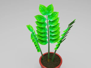 zamioculcas vaso de flores &aacute;rvore do d&oacute;lar Modelo 3D
