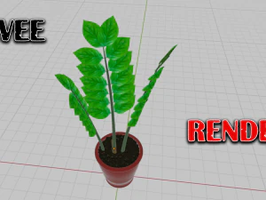 zamioculcas vaso de flores &aacute;rvore do d&oacute;lar Modelo 3D
