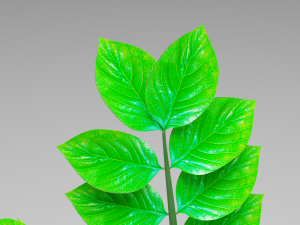 zamioculcas flowerpot dollar tree Model 3D