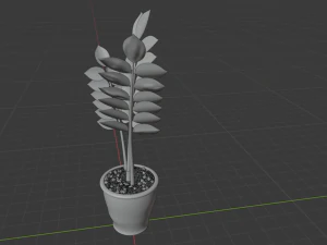 zamioculcas vaso de flores &aacute;rvore do d&oacute;lar Modelo 3D