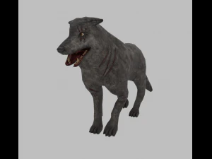 狼 3Dモデル